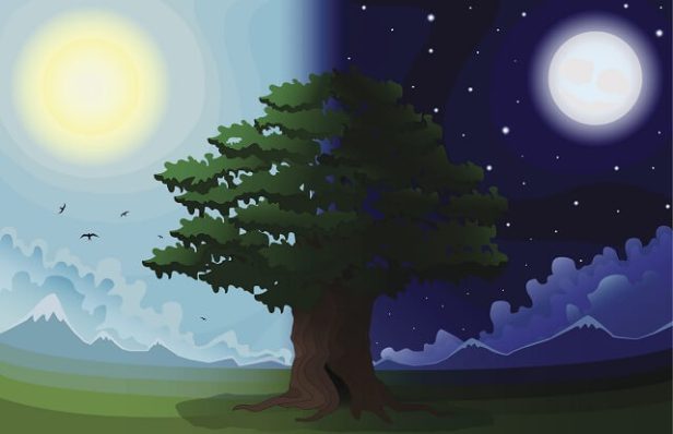 gece-ve-gunduz-zitlik