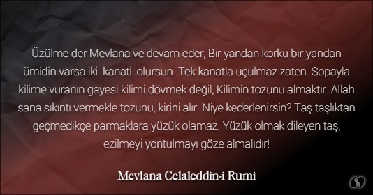 uzulme-der-mevlana-ve-devam-eder-bir-yandan-korku-bir-yandan-umidin-varsa-iki-kanatli-olursun-tek-kanatla-uculmaz-zaten-1445