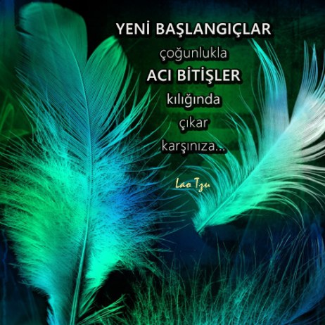 baslangiclar_03_fwmail_th