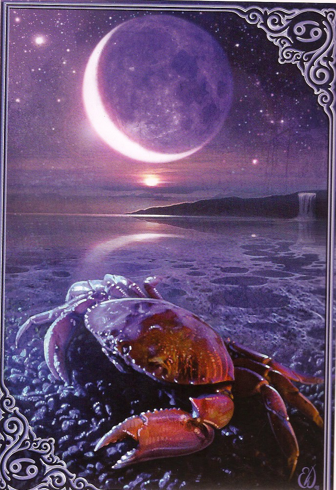 Cancer ınnew moon