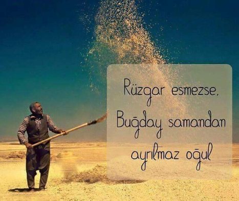 sapla samanı ayırmak güneş başak