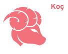 koc-burcu