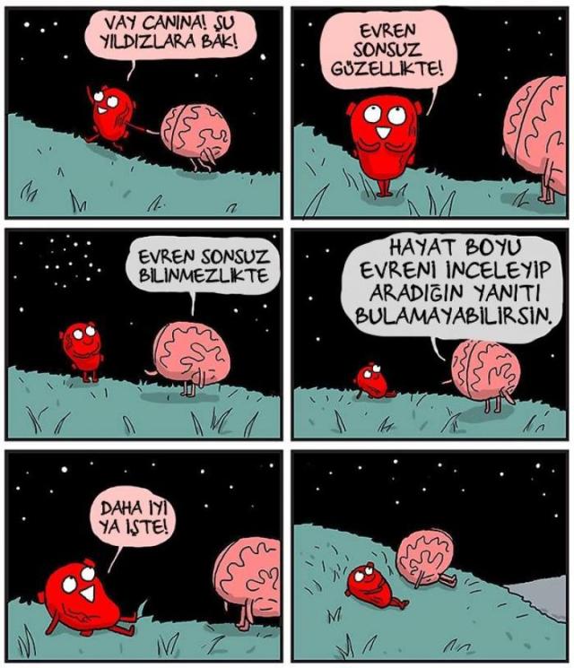 akıl ve kalp.jpg 2