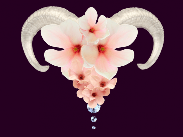 KOÇ BURCUNDA YENİAY