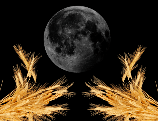 Screen-Shot-2018-09-09-at-1.36.37-PM-e1536525574272