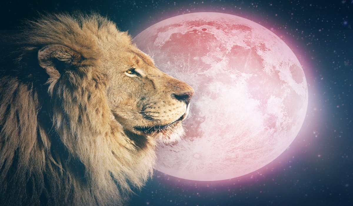 Full-Moon-in-Leo-on-February-9-2020-Embrace-the-Path-You-were-Meant-to-Travel