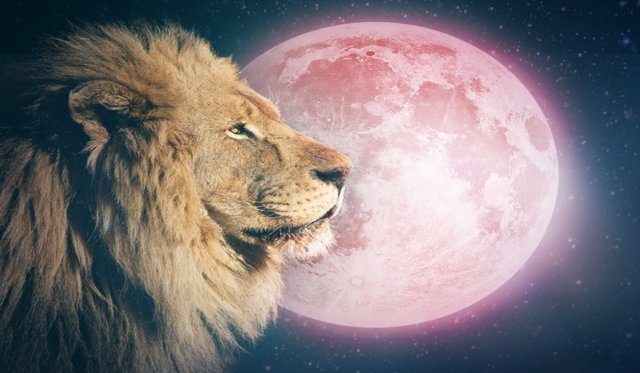 Full-Moon-in-Leo-on-February-9-2020-Embrace-the-Path-You-were-Meant-to-Travel